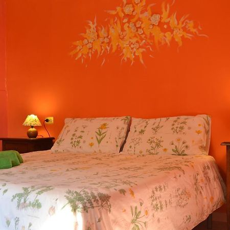 Agriturismo Nizzi Villa Assisi Ngoại thất bức ảnh