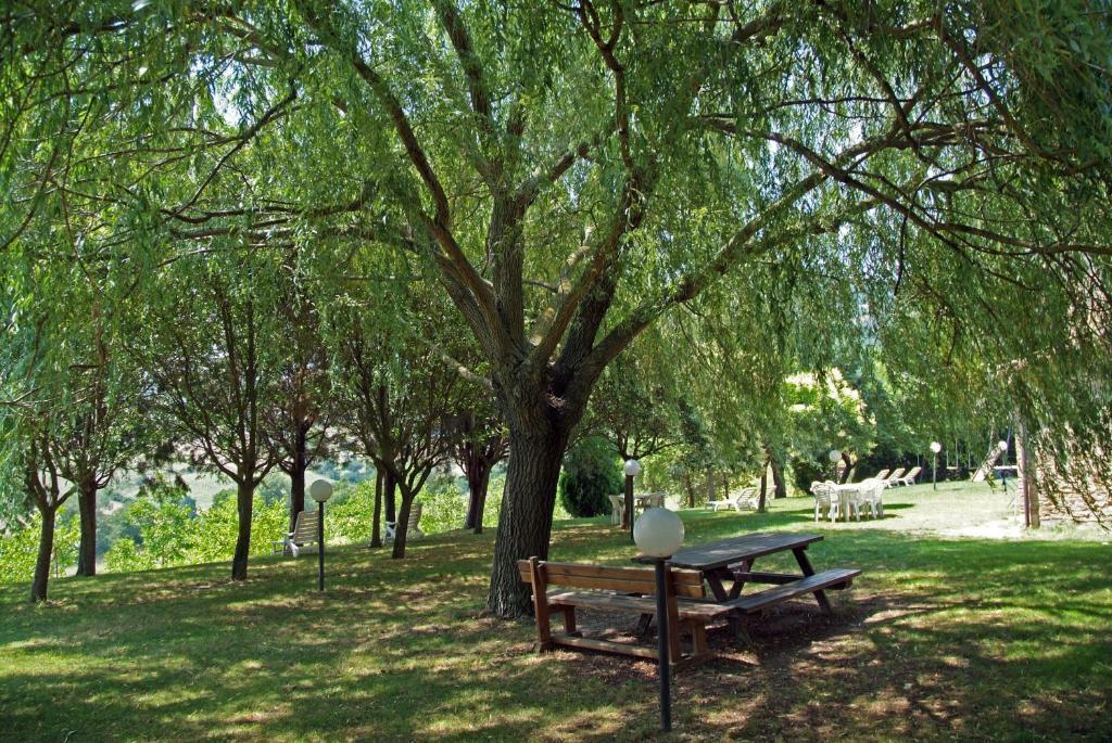 Agriturismo Nizzi Villa Assisi Ngoại thất bức ảnh